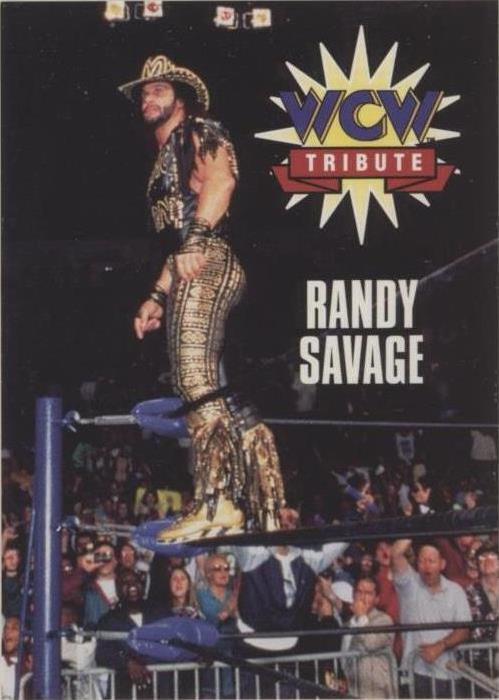 1995 CARDZ WCW Main Event - Randy Savage #74
