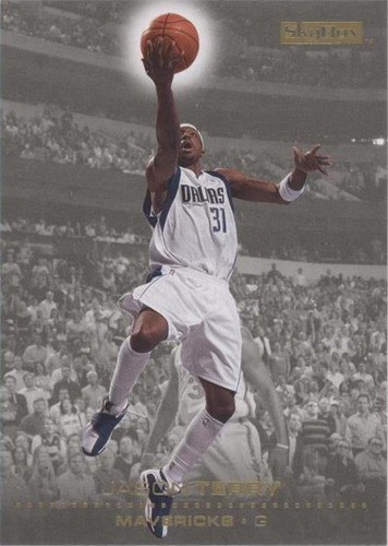 2008-09 Skybox - Jason Terry #33
