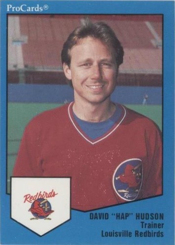 1989 ProCards Minor League Team Sets - David Hudson #1253
