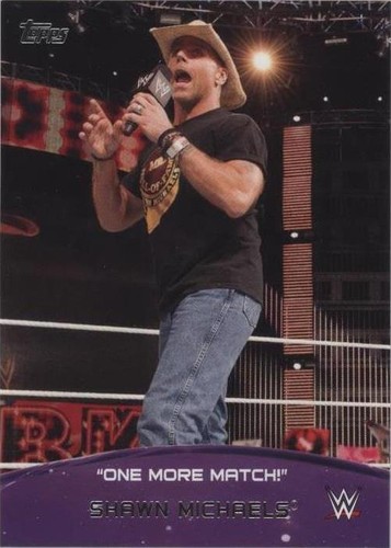 2015 Topps WWE - Shawn Michaels #3