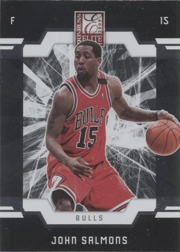 2009-10 Donruss Elite - John Salmons #13