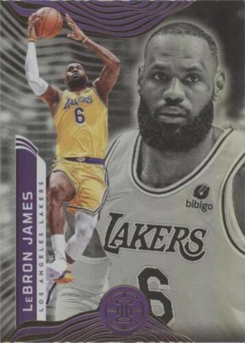 NBA lebron james ルーキーイヤー インサート s-l400.jpg