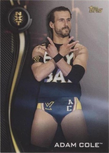 2019 Topps WWE NXT - Adam Cole #1