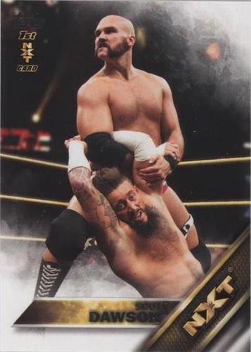 2016 Topps WWE - Scott Dawson #15