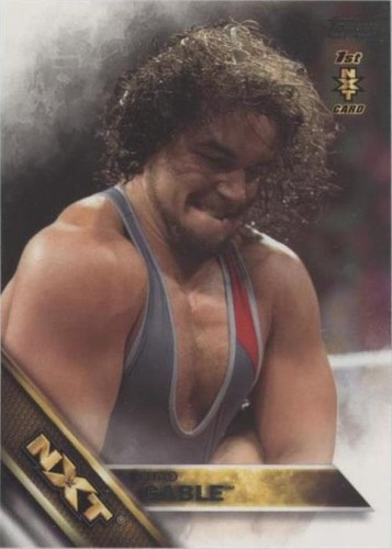 2016 Topps WWE - Chad Gable #11