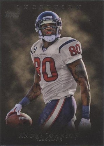 2011 Topps Inception Andre Johnson #48