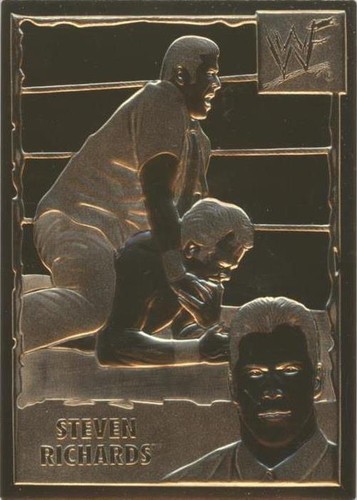 1999-2005 Danbury Mint 22k Gold WWF/E - Stevie Richards #64