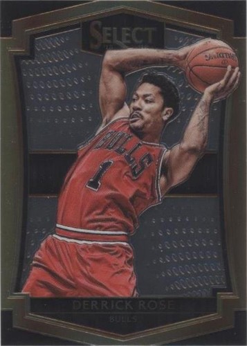 2015-16 Panini Select - Derrick Rose #103