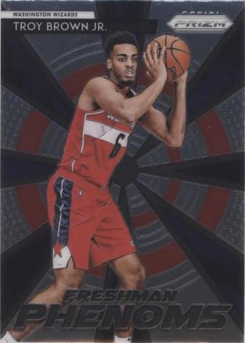 2018-19 Panini Prizm - Troy Brown Jr. #11