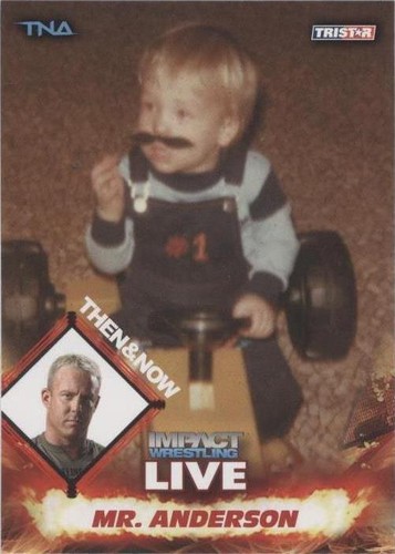 2013 TRISTAR TNA Impact Wrestling Live - Mr. Anderson #90