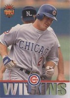 1994 Donruss Triple Play - Rick Wilkins #80