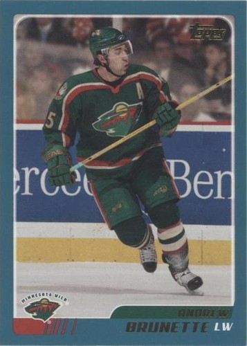2003-04 Topps - Andrew Brunette #255