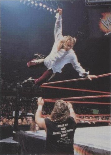 1999 Comic Images WWF SmackDown! - Christian #18