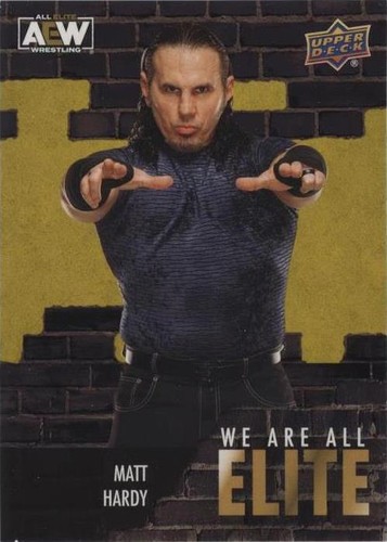 2023 Upper Deck AEW All Elite Wrestling - Matt Hardy #AE-6