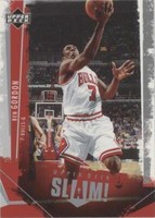 2005-06 Upper Deck Slam - Ben Gordon #12