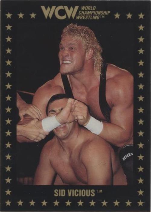 1991 Championship Marketing WCW - Sid Vicious #13