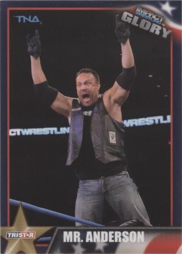 2013 TRISTAR TNA Impact Wrestling Glory - Mr. Anderson #21