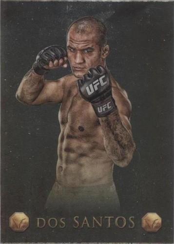 UFC 166 Velasquez vs dos Santos III (Houston 2013) Official 27x39
