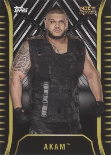 2018 Topps WWE NXT - Akam #R-2
