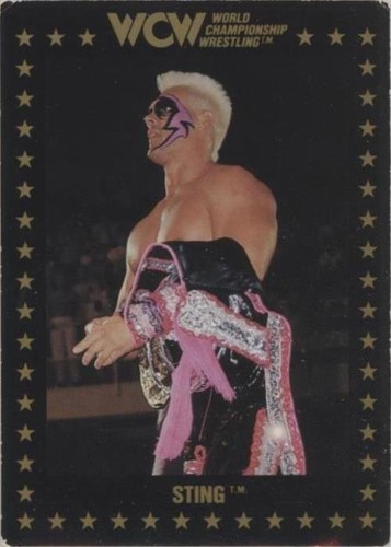 1991 Championship Marketing WCW - Sting #1