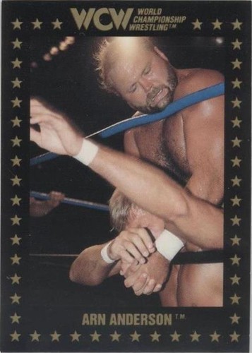 1991 Championship Marketing WCW - Arn Anderson #2