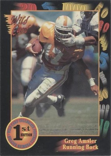 1991 Wild Card Draft Greg Amsler #16