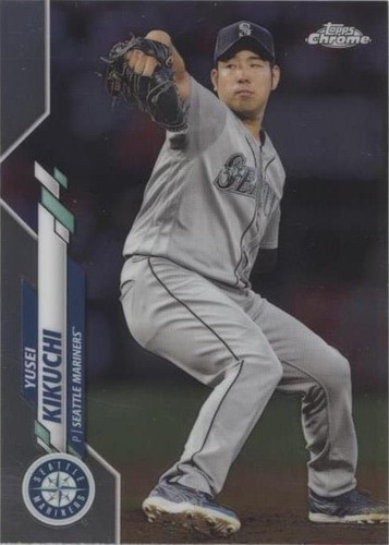 パープルローズ Rare Dark Purple ROSE Flower 3, 10, 20 or 30 Seeds -combined