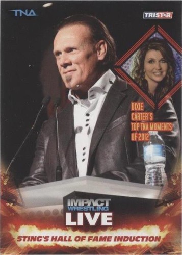 2013 TRISTAR TNA Impact Wrestling Live - Sting #99