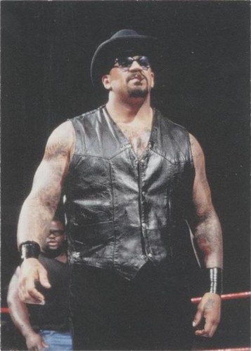 1998 Comic Images WWF Superstarz - The Godfather #27