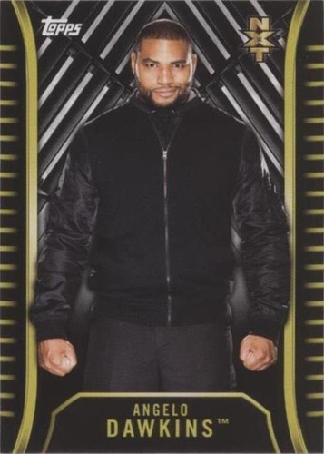 2018 Topps WWE NXT - Angelo Dawkins #R-6