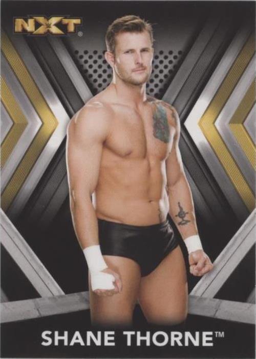2017 Topps WWE NXT - Shane Thorne #29