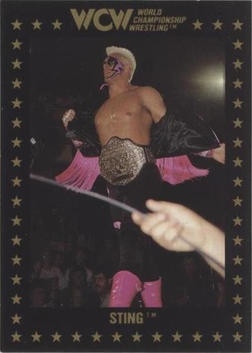1991 Championship Marketing WCW - Sting #46