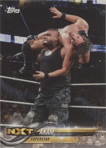 2018 Topps WWE - Akam #3
