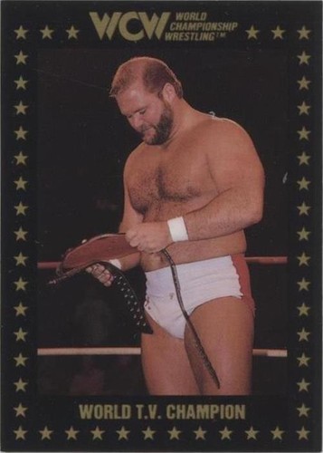 1991 Championship Marketing WCW - Arn Anderson #27