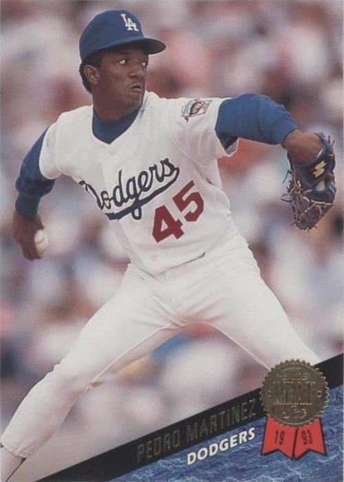 1993 Leaf - Pedro Martinez #163