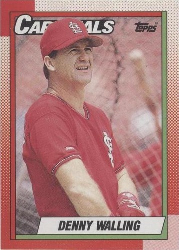 1990 O-Pee-Chee - Denny Walling #462