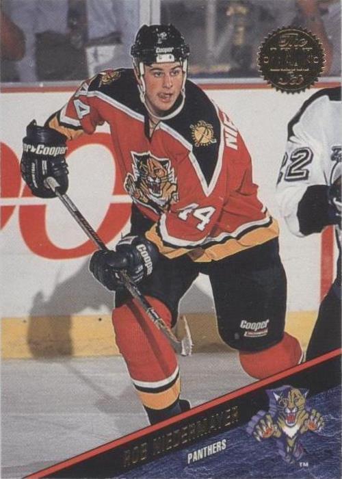 Hoja 1993-94 - Rob Niedermayer #293