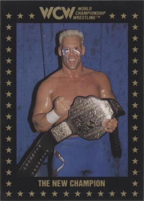 1991 Championship Marketing WCW - Sting #82