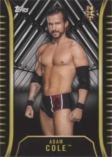 2018 Topps WWE NXT - Adam Cole #R-1