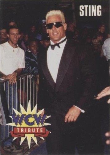 1995 CARDZ WCW Main Event - Sting #81