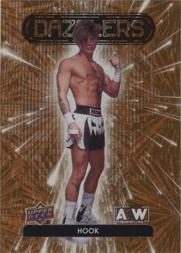 2023 Upper Deck AEW All Elite Wrestling - Hook #DZ-32