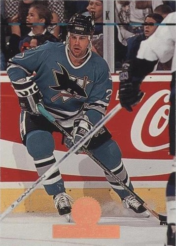 1994-95 Leaf - Todd Elik #226