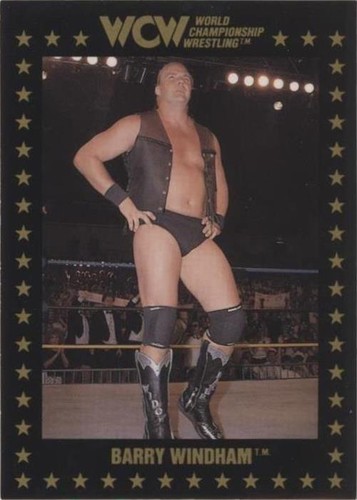 1991 Championship Marketing WCW - Barry Windham #17