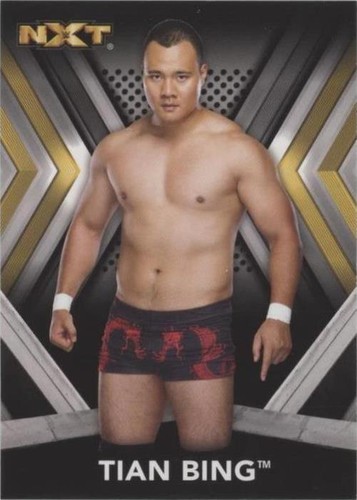 2017 Topps WWE NXT - Tian Bing #30