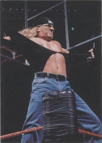 1998 Comic Images WWF Superstarz - Triple H #16