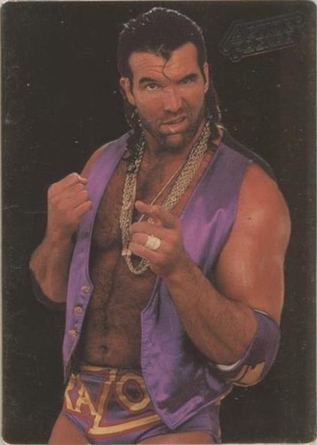 1994 Action Packed WWF - Scott Hall #37