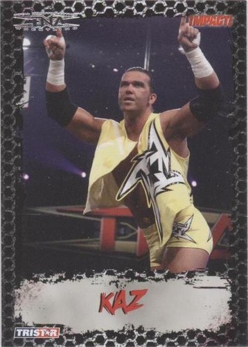 2008 TRISTAR TNA Wrestling Impact! - Kazarian #30