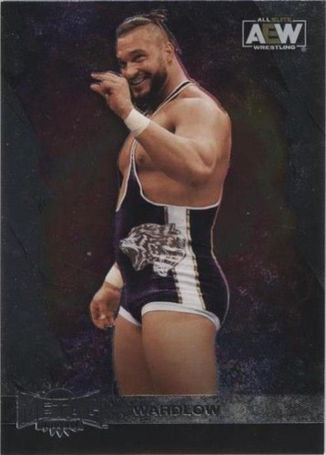2022 Skybox Metal Universe AEW All Elite Wrestling - Wardlow #7