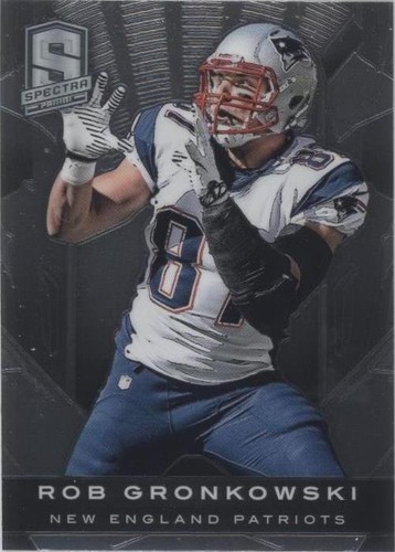 2013 Panini Spectra Rob Gronkowski #61