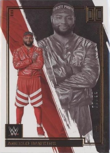 2022 Panini Impeccable WWE Wrestling Trading Cards